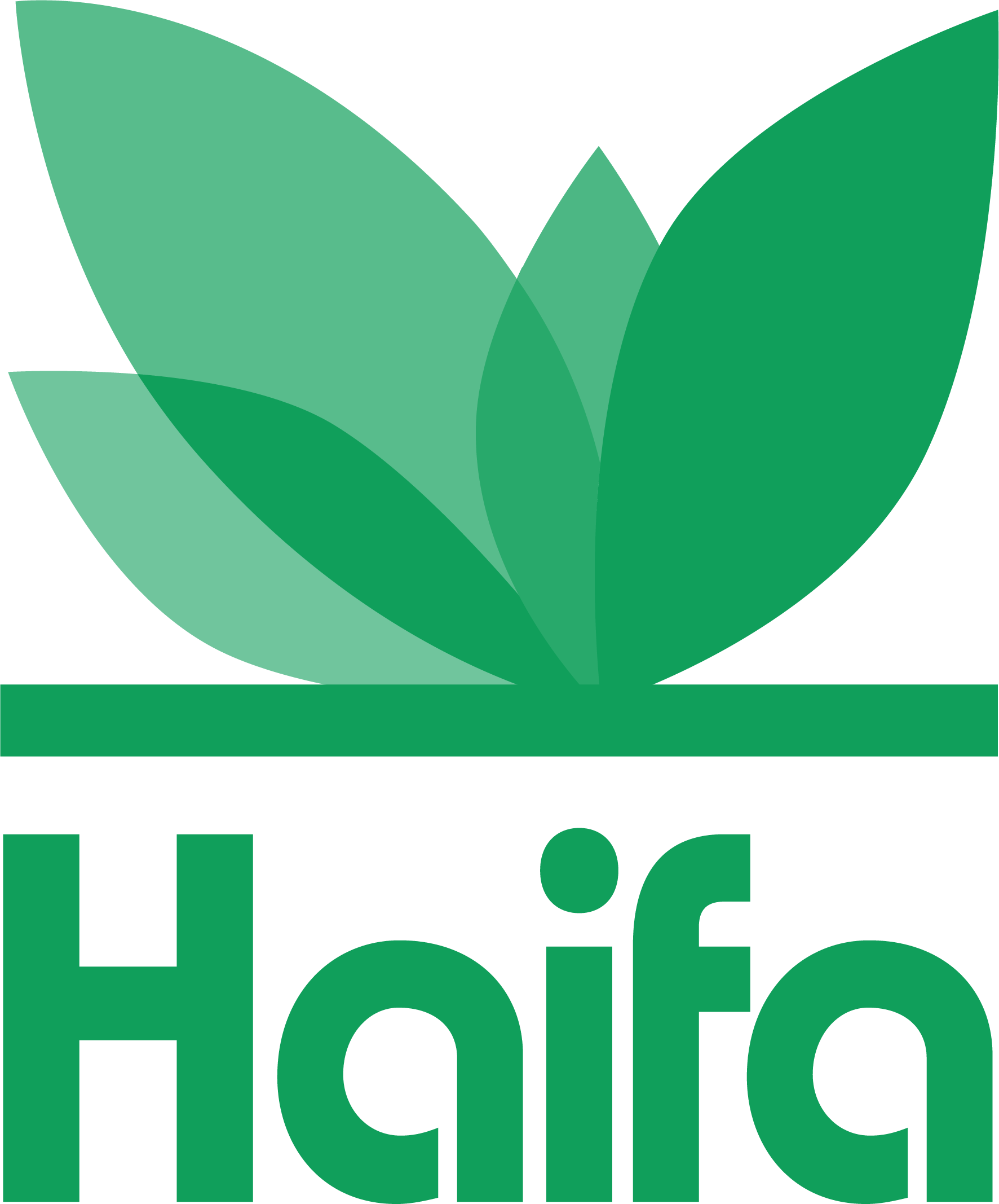 Logotipo de Haifa