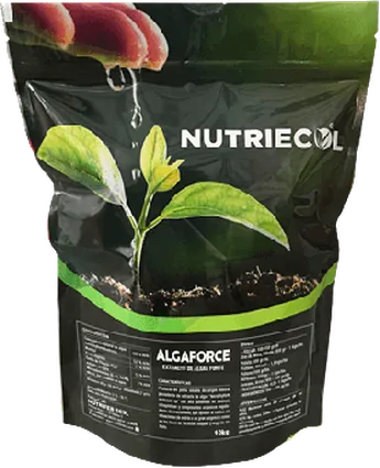 Envase de Algaforce 500 Gramos Extracto de Algas Bioestimulante