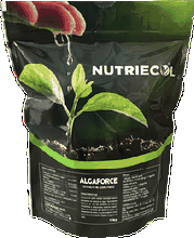 Envase de Algaforce 500 Gramos Extracto de Algas Bioestimulante