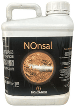 Envase de Nonsal 5Litros - Desalinizantes