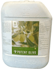 Envase de Potent Olivo 10 Litros Aminoacidos 24% Bioestimulantes