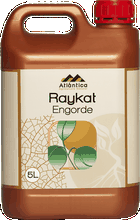 Envase de Raykat Engorde 5 Litros Bioestimulante Engorde - ATLANTICA