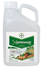 Envase de Serenade 5L Aso fungicida-bactericida biológico Bacillus subtilis cepa QST 713 - BAYER
