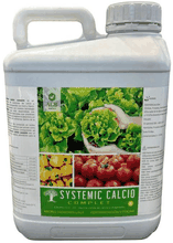 Envase de Systemic Calcio Complet G 5 Litros