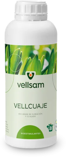 Envase de Vellcuaje 5 LTS. Biestimulante Cuaje de Frutos. VELLSAM