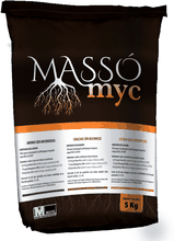 Envase de MASSO-MYC, sólido