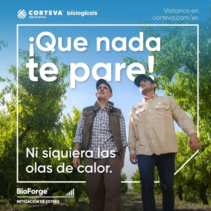 Imagen oficial de BioForge ®