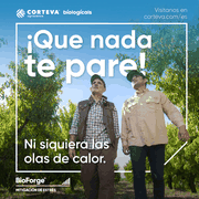 Imagen oficial de BioForge ®