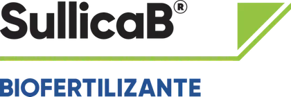 Imagen oficial de SULLICAB