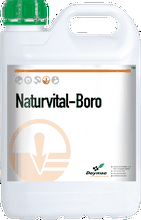 Envase de Naturvital -Boro