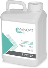 Envase de Aminovit Gold
