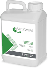 Envase de Aminovital Plus