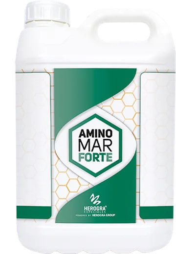 Envase de Aminomar Forte