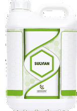 Envase de Sulvian
