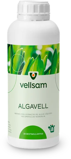 Envase de Algavell
