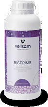 Envase de Bigprime