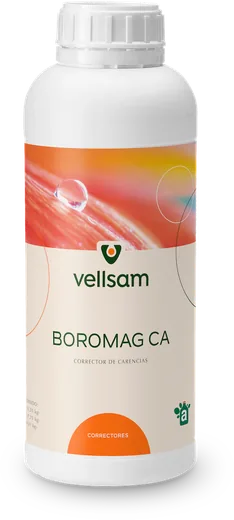 Envase de Boromag Ca