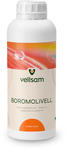 Envase de Boromolivell