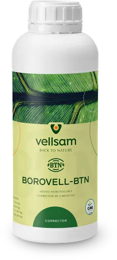 Envase de BOROVELL BTN