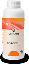Envase de Borovell
