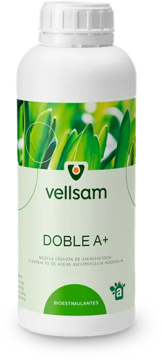 Envase de Doble A+