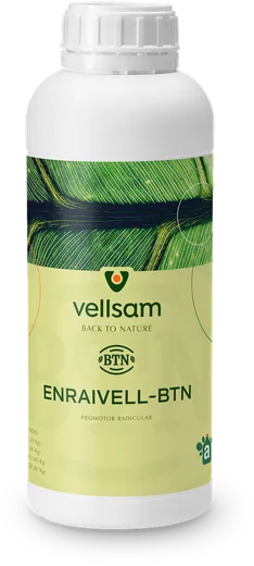 Envase de ENRAIVELL BTN