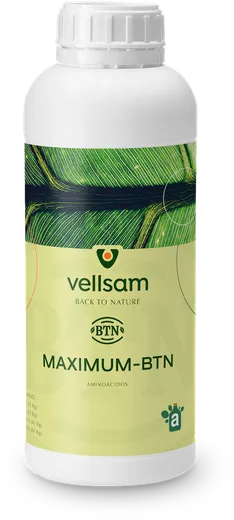 Envase de MAXIMUM BTN