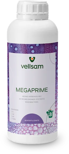 Envase de Megaprime