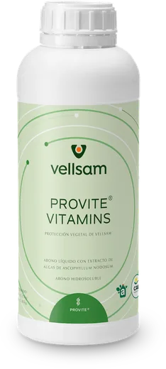 Envase de Provite Vitamins