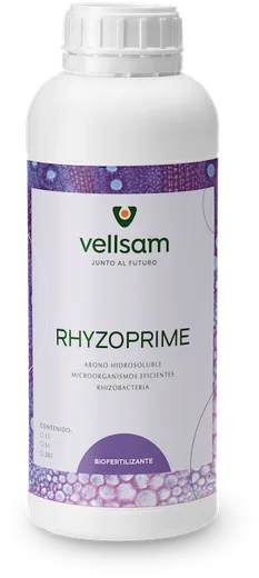 Envase de Rhyzoprime
