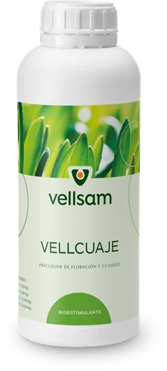 Envase de Vellcuaje