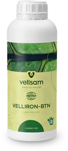 Envase de VELLIRON BTN